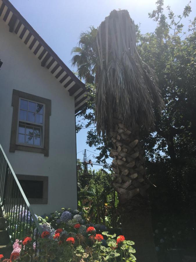 Hôtel The Oaks House Foz à OOporto Extérieur photo